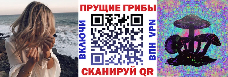 продажа наркотиков  Нарткала  Псилоцибиновые грибы мухоморы 